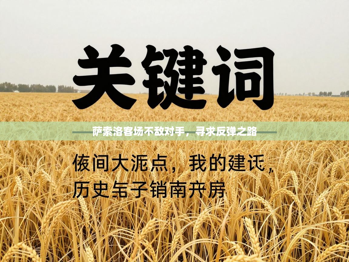 萨索洛客场不敌对手，寻求反弹之路  第1张